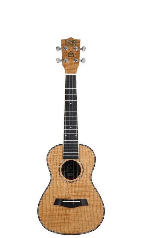 Buy Ukulele Online .